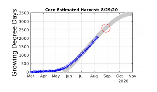 Plot of growing degree days versus time with predicted harvest time for corn planted March 1, 2020 identified by a red circle.
